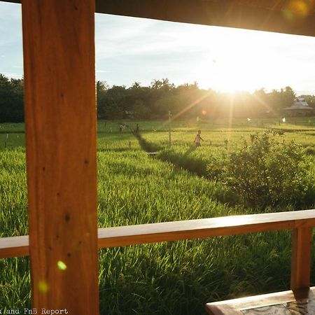 Guerrera Rice Paddy Villas Mambajao Extérieur photo