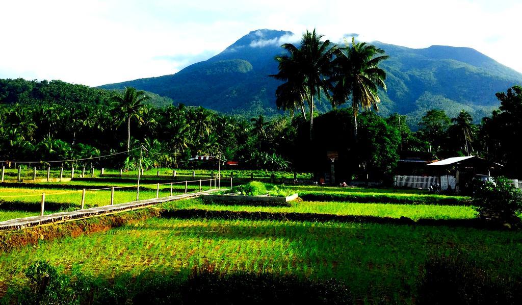 Guerrera Rice Paddy Villas Mambajao Extérieur photo