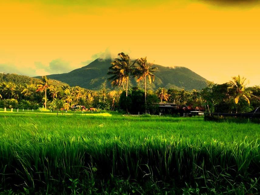 Guerrera Rice Paddy Villas Mambajao Extérieur photo