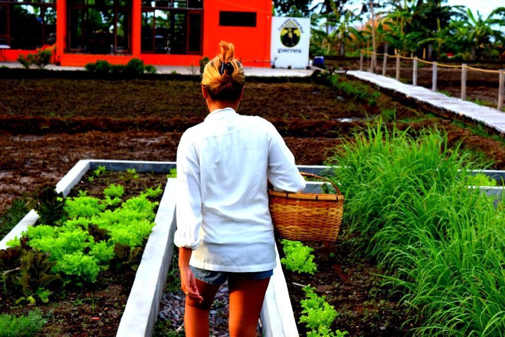 Guerrera Rice Paddy Villas Mambajao Extérieur photo