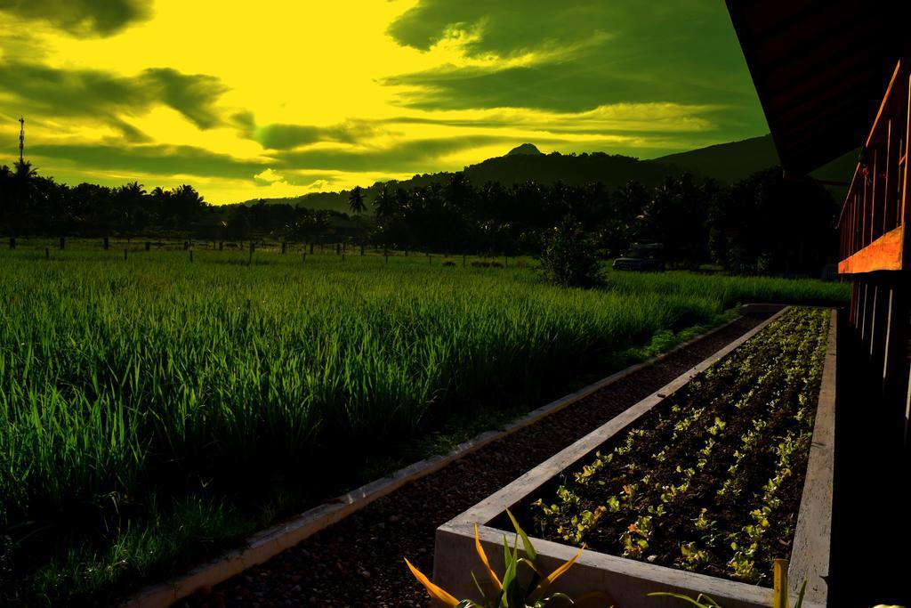 Guerrera Rice Paddy Villas Mambajao Extérieur photo