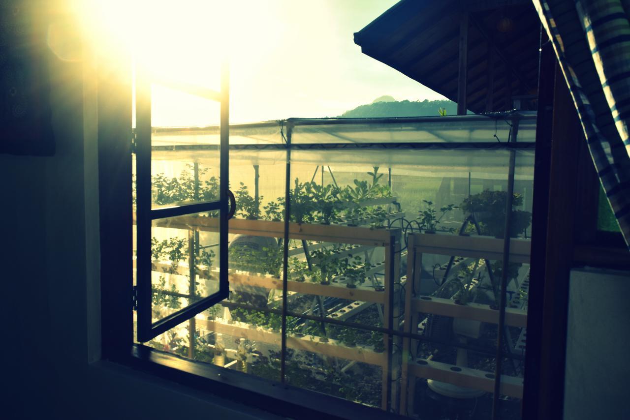 Guerrera Rice Paddy Villas Mambajao Extérieur photo